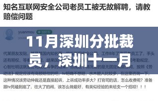 联系 第311页
