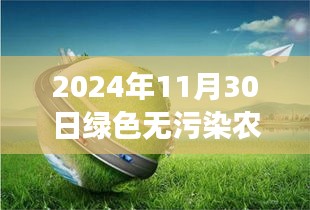 绿色梦想成真，2024年绿色无污染农田的崛起与影响