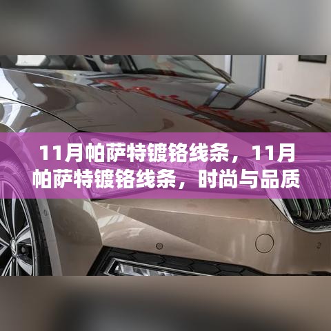 动态 第339页