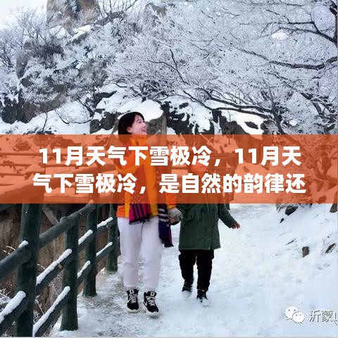 案例 第300页