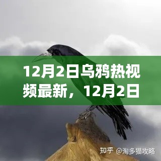 联系 第299页