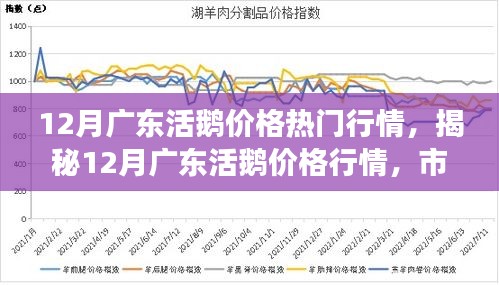 揭秘广东活鹅市场，12月价格行情深度解析与走势预测