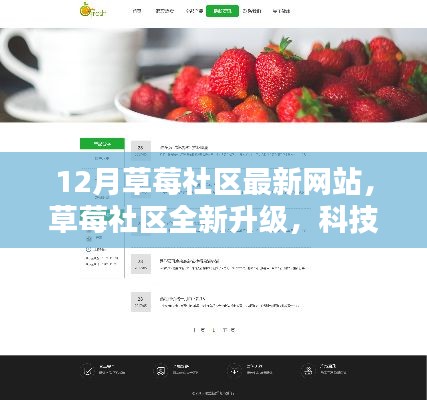 百不得一 第3页