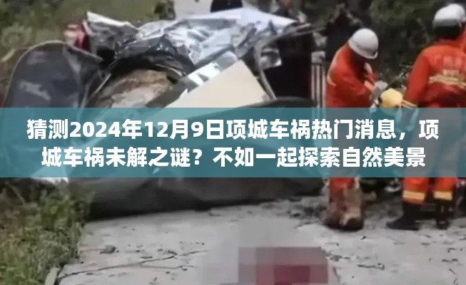 项城车祸揭秘与心灵宁静之旅探索，自然美景的魅力与和谐之旅展望