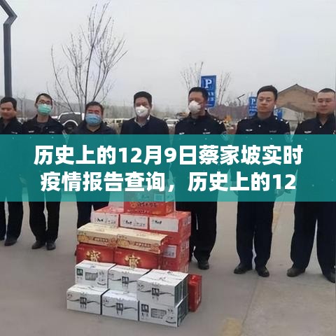 历史上的12月9日蔡家坡实时疫情报告查询系统深度解析与评测报告