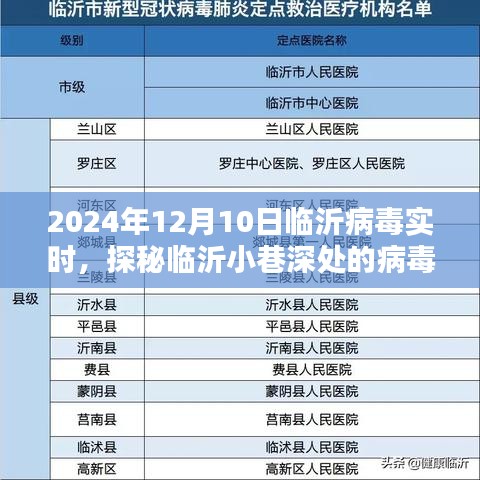探秘临沂小巷深处的病毒实时特色小店，2024年12月10日临沂病毒实时报道