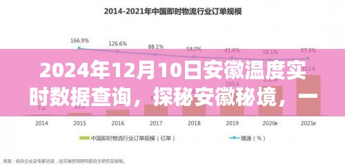 望其项背 第3页