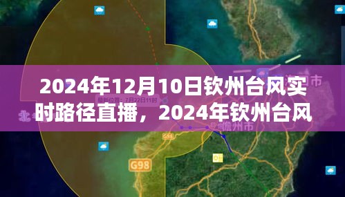 2024年钦州台风实时路径直播观看指南，新手到进阶用户全攻略
