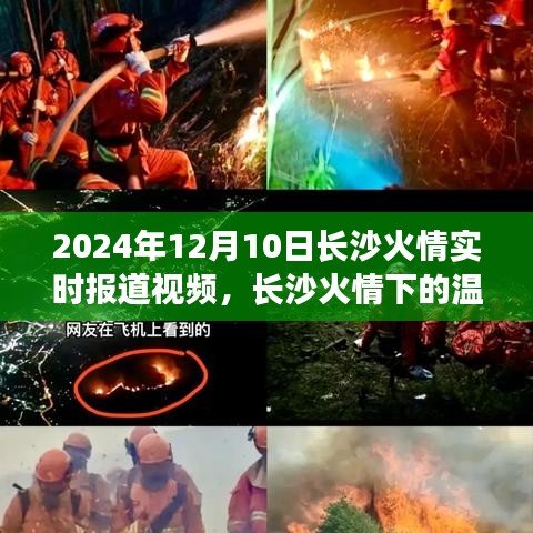 貌美如花 第3页