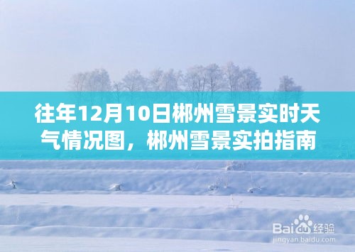 动态 第273页