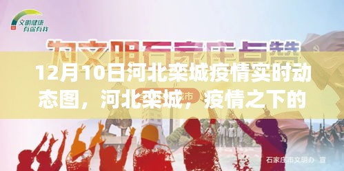 河北栾城疫情实时动态图，疫情之下的绿色避风港探索之旅
