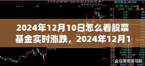 深度解读，2024年12月10日股票基金实时涨跌与市场走势应对策略