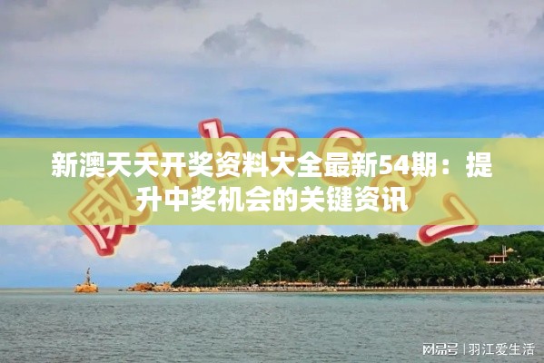 新澳天天开奖资料大全最新54期：提升中奖机会的关键资讯