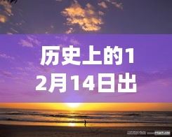揭秘历史特殊日子，12月14日出单却实时成交零记录的产品深度测评揭秘