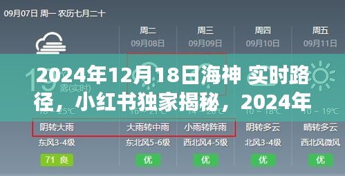 独家揭秘，小红书预测与解读2024年12月18日海神实时路径预测报告
