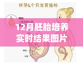 产品 第192页