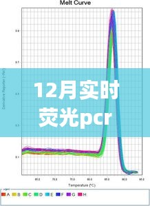 揭秘实时荧光PCR检测费用背后的故事，背景、发展、影响与时代地位分析