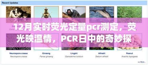 草率收兵 第2页