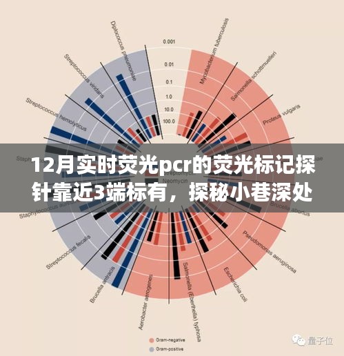探秘基因之韵小店的荧光秘密，实时荧光PCR荧光标记探针的奥秘