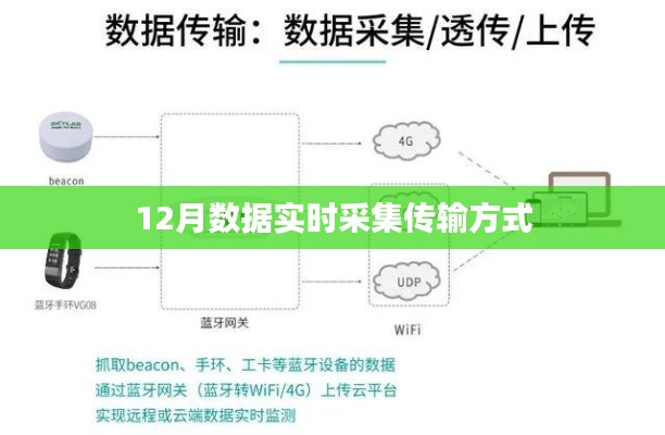 鸟骇鼠窜 第3页