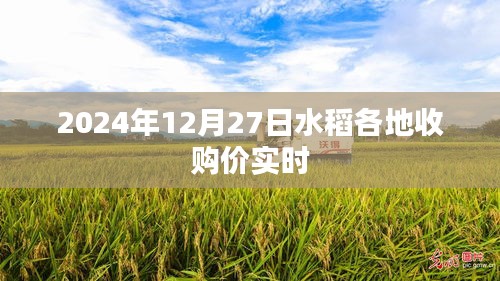 随时随地 第2页