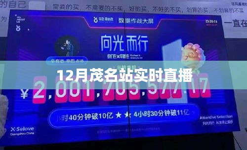 首鼠两端 第2页