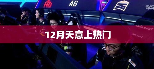 12月天意引热议，揭秘热门话题背后的故事