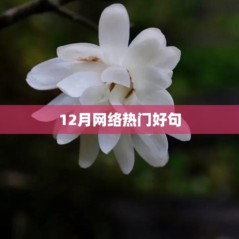 虫言鸟迹 第2页