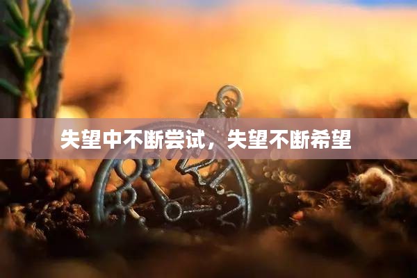 失望中不断尝试，失望不断希望 
