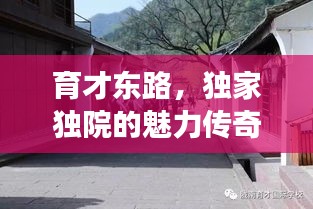 张灯挂彩 第2页