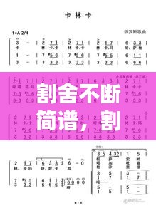 声如洪钟 第2页