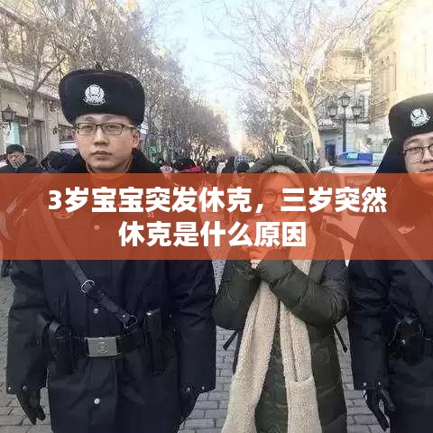 望其项背 第2页