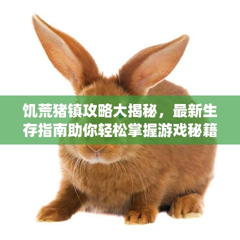 饥荒猪镇攻略大揭秘，最新生存指南助你轻松掌握游戏秘籍！