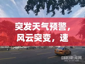 飞奇钩货 第2页