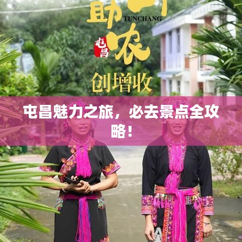 雍容典雅 第2页
