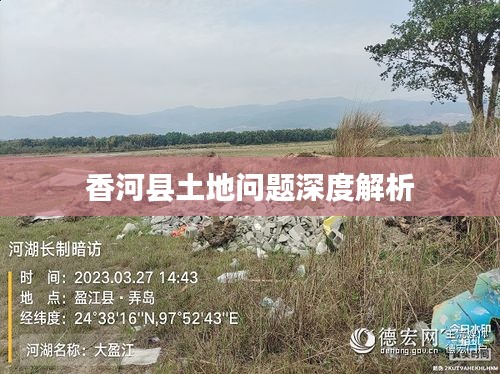 鸷鸟不群 第2页