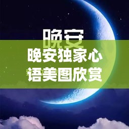 动态 第75页