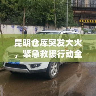 风流儒雅