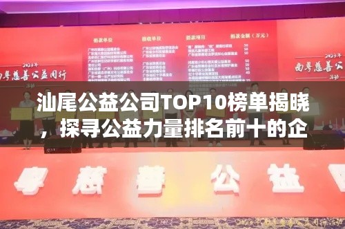 汕尾公益公司TOP10榜单揭晓，探寻公益力量排名前十的企业