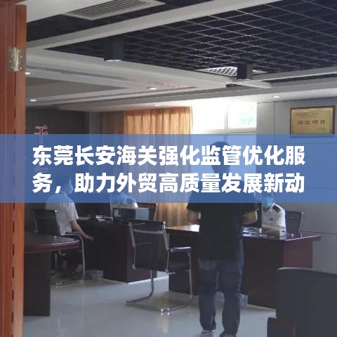 东莞长安海关强化监管优化服务，助力外贸高质量发展新动态