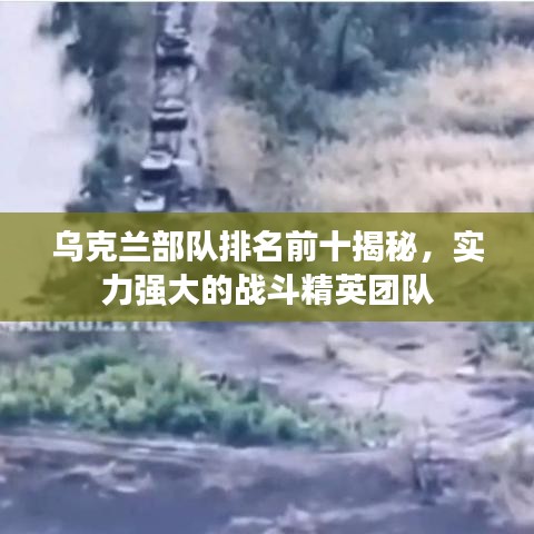 鸟集鳞萃