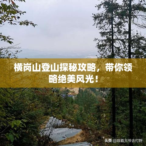 瑞雪飞舞