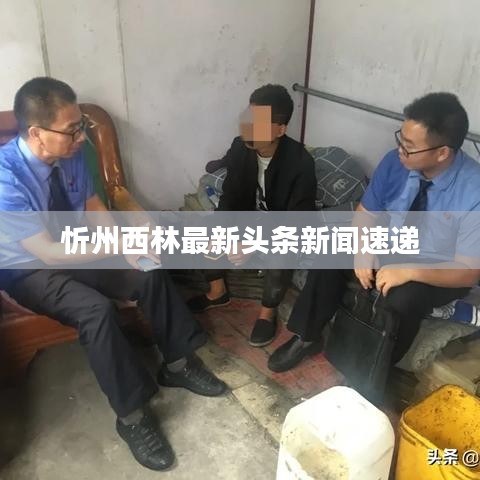 忻州西林最新头条新闻速递