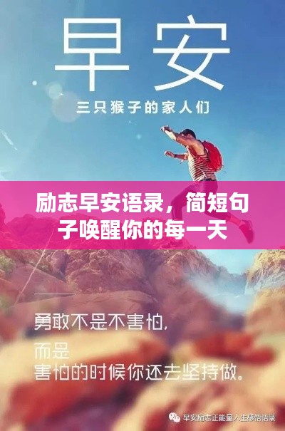 联系 第24页