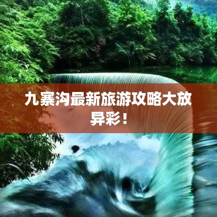 鸟骇鼠窜
