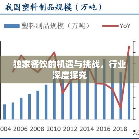 独家餐饮的机遇与挑战，行业深度探究