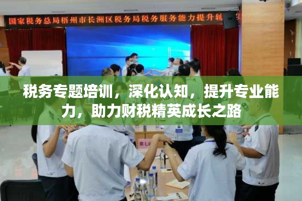 税务专题培训，深化认知，提升专业能力，助力财税精英成长之路