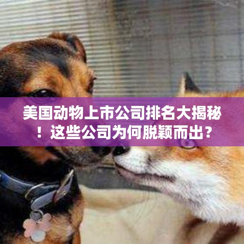 美国动物上市公司排名大揭秘！这些公司为何脱颖而出？