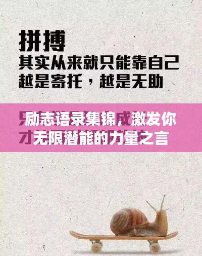 产品 第12页