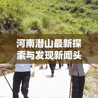 案例 第13页